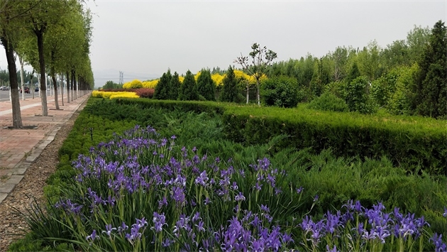 標題：張家口經開區秋季清水河生態綠廊建
瀏覽次數：2606
發表時間：2020-10-16