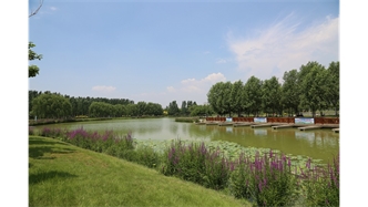 標題：包頭市民公園
瀏覽次數：1910
發表時間：2020-10-16