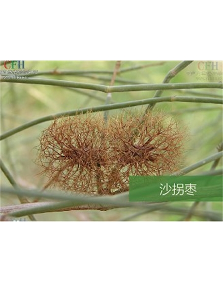 標題：名貴樹種
瀏覽次數：1731
發表時間：2020-10-17