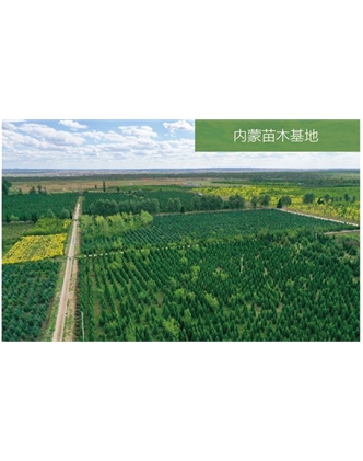標題：苗木基地
瀏覽次數：2285
發表時間：2020-10-17