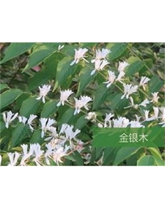 標(biāo)題：?jiǎn)坦嗄?瀏覽次數(shù)：1734
發(fā)表時(shí)間：2020-10-17