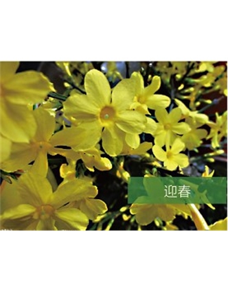 標(biāo)題：?jiǎn)坦嗄?瀏覽次數(shù)：1663
發(fā)表時(shí)間：2020-10-17