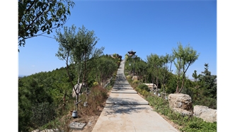 標題：張家口太子山山體修復
瀏覽次數：18986
發表時間：2020-11-12